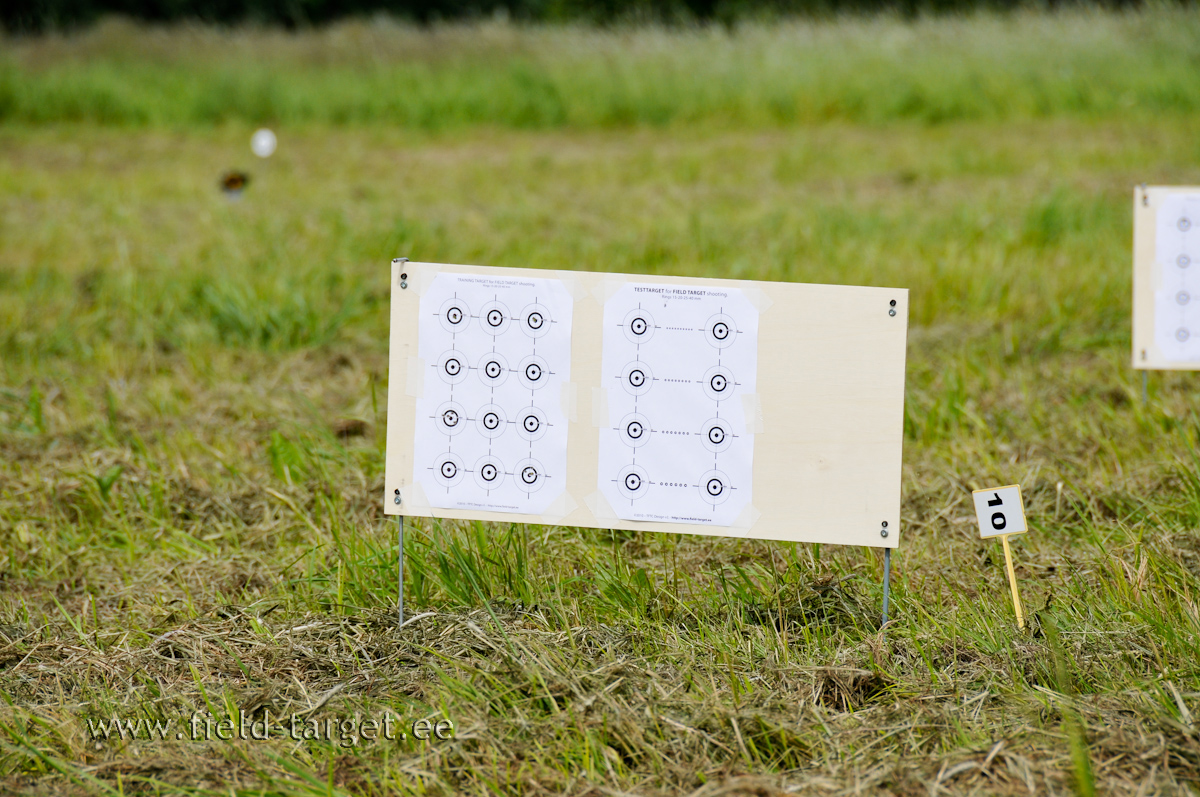 ... aga siis võib ühe pauguga mitu kümme saadat!